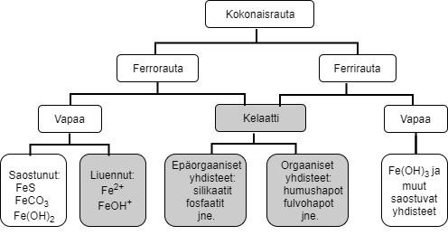 11 Kuva 2. Raudan olomuodot vedessä. Valkoisella pohjalla ovat saostuneet olomuodot, harmaalla pohjalla liukoiset tai hienojakoiset olomuodot (Muokattu lähteestä Karttunen et al. 2004, s.412).