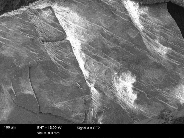 49 Kuva 17. SEM-kuvat (mittakaava 100 µm) Ahveniston laitoksen hiekasta (ylhäällä vas.), pilot-kokeiden hiekasta (ylhäällä oik.