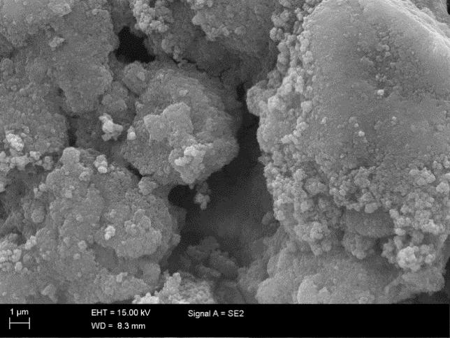 50 1 3 2 4 6 7 5 Kuva 18. SEM-kuvat tarkemmalla suurennoksella (mittakaava 1 µm) Ahveniston laitoksen suodatinhiekasta (ylhäällä vas.
