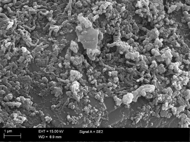 vahvistaa, että Ahveniston suodattimen hiekkarakeen pinnalla olleessa saostumassa oli selkeästi rautaa ja vain vähän mangaania