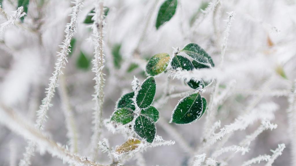 SUOMEN TALOUDEN ENNUSTE Nopein talouskasvun vaihe on ohitettu 18.12.