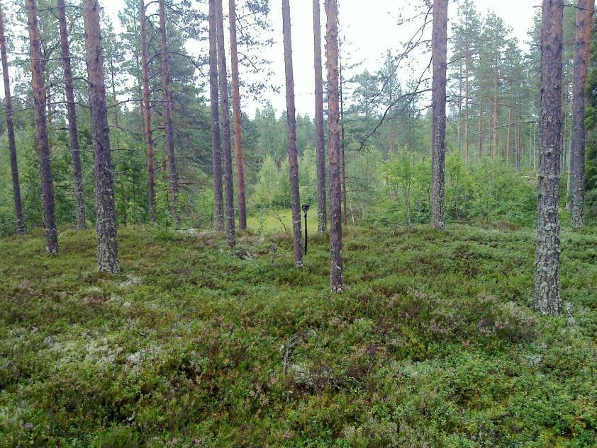 22 Painanne kuvan keskellä RAAHE UUDENSILLAN LÄNSIPUOLI Mjtunnus: Rauh.