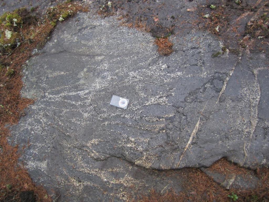 länsisuuntaisia, leukograniittisia juonia (Kuva 10). Kuva 10. Dioritoidi-sulkeuma, jossa granodioriittista juoniverkkoa.