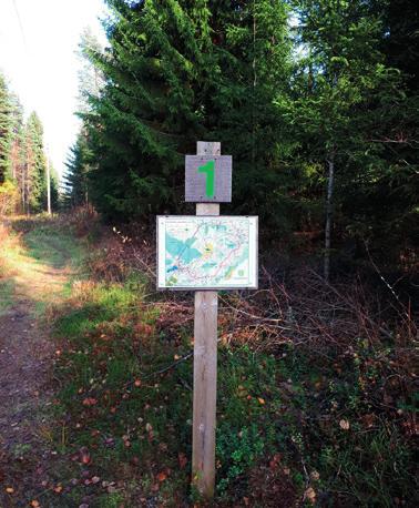 Hakemus vuoden kyläksi tehtiin keväällä ja juhannusviikolla isännöimme maakunnallisen kylätoiminnan kattojärjestö Varsinais-Suomen Kylät ry:n arvovaltaista kahdeksan hengen raatia Keskipisteen