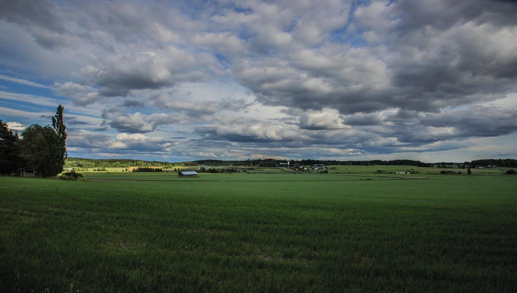 Eli hiekkamaalle tehty uudisraivio, missä sana mjäle tarkoittaa löysää hiekkamaata. Juuri tuollaistahan paikan maa tosiaan on.