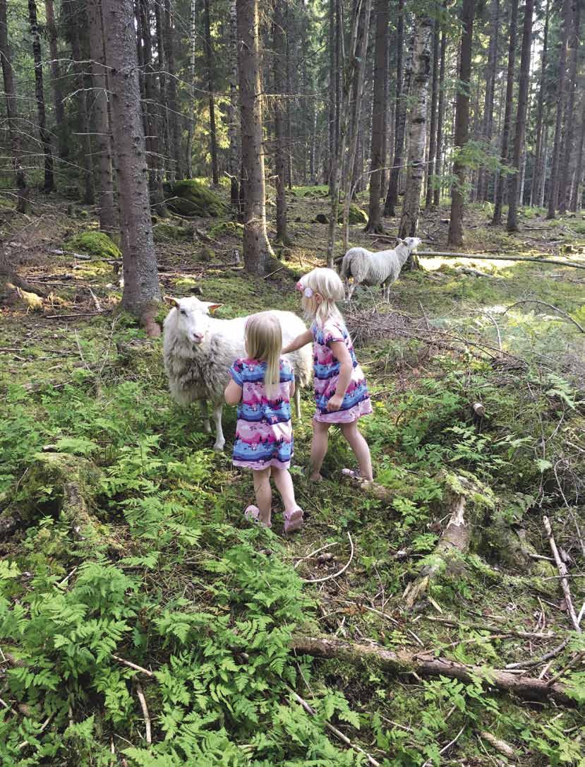 Heidi on kuitenkin sitä mieltä, että lapset viihtyvät pienenä siellä missä vanhemmatkin ja silloin kun eivät viihdy, tehdään muuta kuin veneillään. TEKSTI: ANTTI TAPOLA Heidi-äiti ja Jemina vauhdissa.