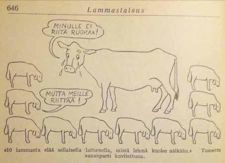 Elpyvä lammas 1940 1950 -lukujen taitteessa Lihan tuotannossa lammas kilpaili tehokkaampien lihantuottajien, kuten sian, siipikarjan ja naudan kanssa, mutta viimeistään toinen maailman sota palautti