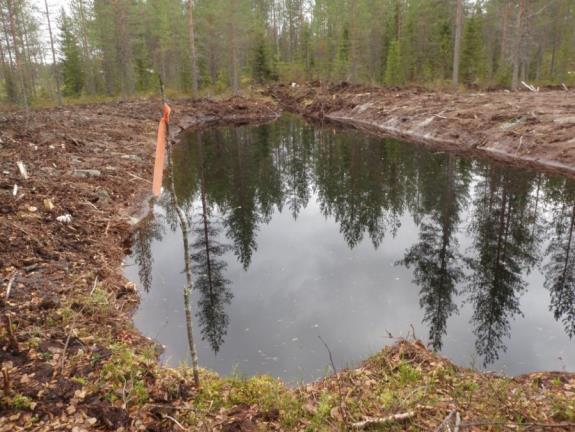 Metsähallituksen metsätalouden ympäristöoppaan mukaan suojavyöhykkeiden arviointi metsäsertifiointia varten luontokohteiden huomioon ottaminen maisematekijät käsittelyalalla tehdyt