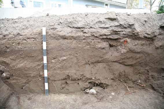 muinaisjäännöksen, mutta on kuitenkin huomioitava, että vain 2 metriä etelään ja puolisen metriä alempana, kuopasta 2A on selkeitä viitteitä rautakauteen.