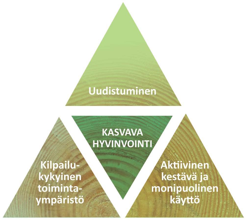 Kansallinen metsästrategia 2025:n