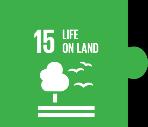 ympäristön kannalta kestävällä tavalla ja poistetaan äärimmäinen köyhyys maailmasta. Metsästrategia toteuttaa metsiin liittyviä Agenda 2030 -tavoitteita kansallisella, EU- ja kansainvälisellä tasolla.