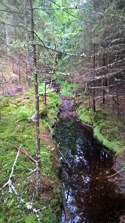 Sen pohja kivinen (kiintoaines mahdollisesti jo lähtenyt virtaaman mukana) ja virtaama