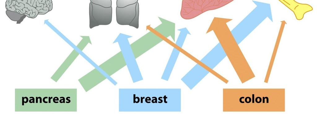 tumors. The hallmarks constitute an organizing principle for rationalizing the complexities of neoplastic disease.