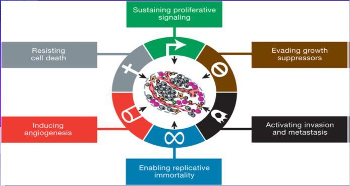 angiogenesis, and activating invasion and metastasis.