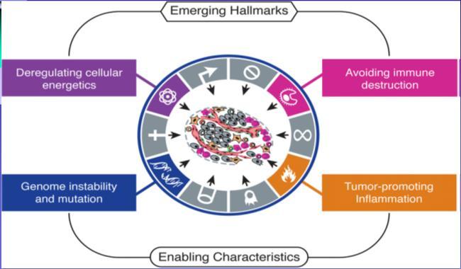 evading immune destruction.