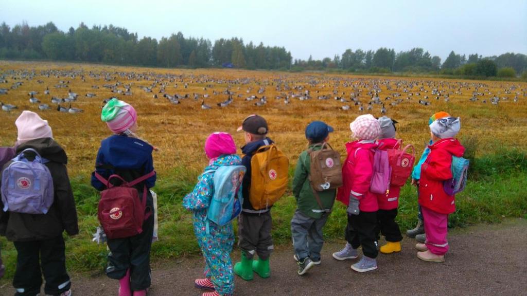 Vihreä Lippu -toiminta Kamomillassa ja ympäristökasvatus Maarianmaassa Vihreä lippu -ohjelma muodostaa Kamomillan ympäristökasvatuksen periaatteet ja tavoitteet.