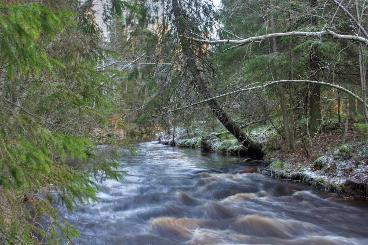 KaliVesi - hanke Kuva: Lassi Kalleinen Kalimenjoki on lähes luonnontilainen Oulun pohjoispuolella sijaitseva pieni joki, jonka tila on heikentynyt viime vuosina.