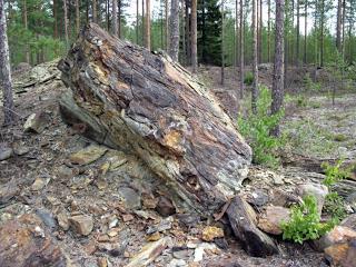 Kalimenjoen valuma-alue Kalimenjoen valuma-alueella on voimakas metsätalouden maakäyttö (hajakuormitus), asutusta (hajakuormitus) sekä useita pistekuormittajia Vähän maatalousalueita, painottunut