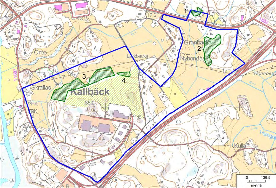 T6 Itä-Taasjärvi ja K8 B Hiekkamäki. Asemakaavojen luontoselvitys. Uuden Porvoontien pähkinäpensaikko Kohteella (numero 1 kuvassa ) kasvaa noin 80 yli kaksimetristä pähkinäpensasta.