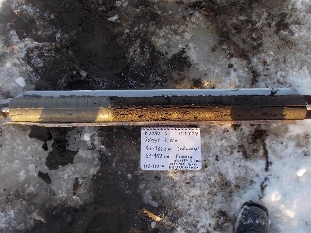 sedimenttinäyte 0 100 cm 21.02.2018. Näytteenottimena turvekaira.