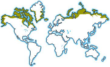 9 kulkeutuu Jäämereen. Vyöhykkeen sademäärä on vähäinen, mutta alhaisen haihtumisen seurauksena ilmasto on silti kosteahko. Kuva 2. Tundra-alueet. (Blue Planet Biomes 2002).