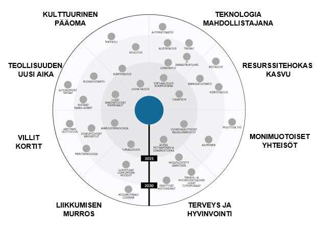 vaikuttavuus Laaja, eri tahojen osallistaminen kasvumahdollisuuksien arviointiin: Kansalliset näkökulmat Elinkeinoelämän näkökulmat Alueellisten toimijoiden näkökulmat Tuloksena yhteinen arvio