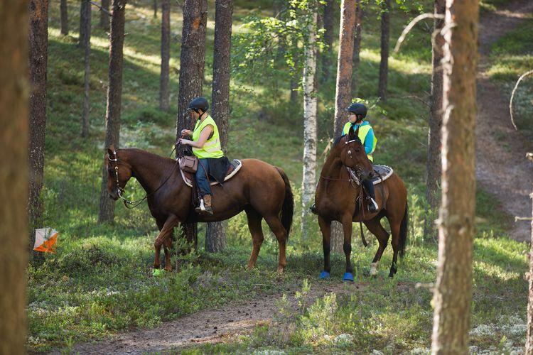 KAO:n tempausporukka. Kuva Soile Lappalainen.