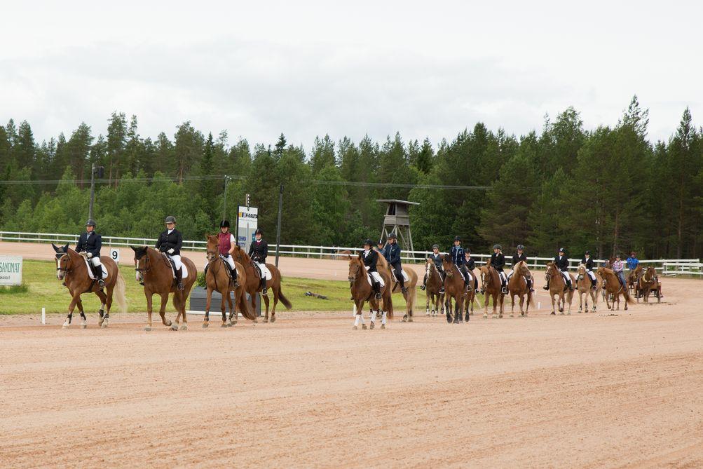 JOHDANTO Ratsastus tarjoaa ihmiselle elävän harrastuksen, arjesta ja kiireestä irrottavan elämäntavan, johon sukeltaa vuosien myötä aina vain syvemmälle.