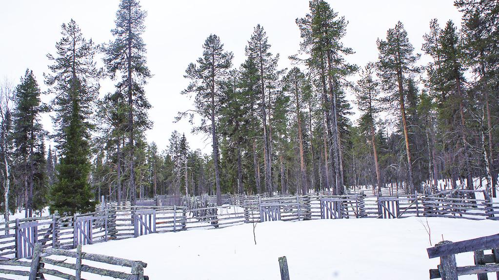 PEURAKAIRAN LUONTAISELINKEINO MAISEMAT Maisema-alueen aikaisempi nimi ja arvoluokka: Ehdotettu arvoluokka: Valtakunnallisesti arvokas maisema-alue Kunta: Sodankylä Pinta-ala: 56 772,9 ha