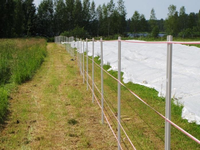 Sähköiseen hirviaitaan tulee 4 aitanauhaa, joista alin nauha on 30 cm maasta, seuraava 25 cm alimmasta nauhasta ja sitten kaksi nauhaa 50 cm välein.