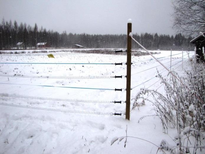 Jotkut metsäkauriit ovat oppineet ryömimään aidan ali, jos alin nauha on liian korkealla. Kauris voi oppia myös hyppäämään eristimien välistä, jolloin se ei välttämättä saa sähköiskua.