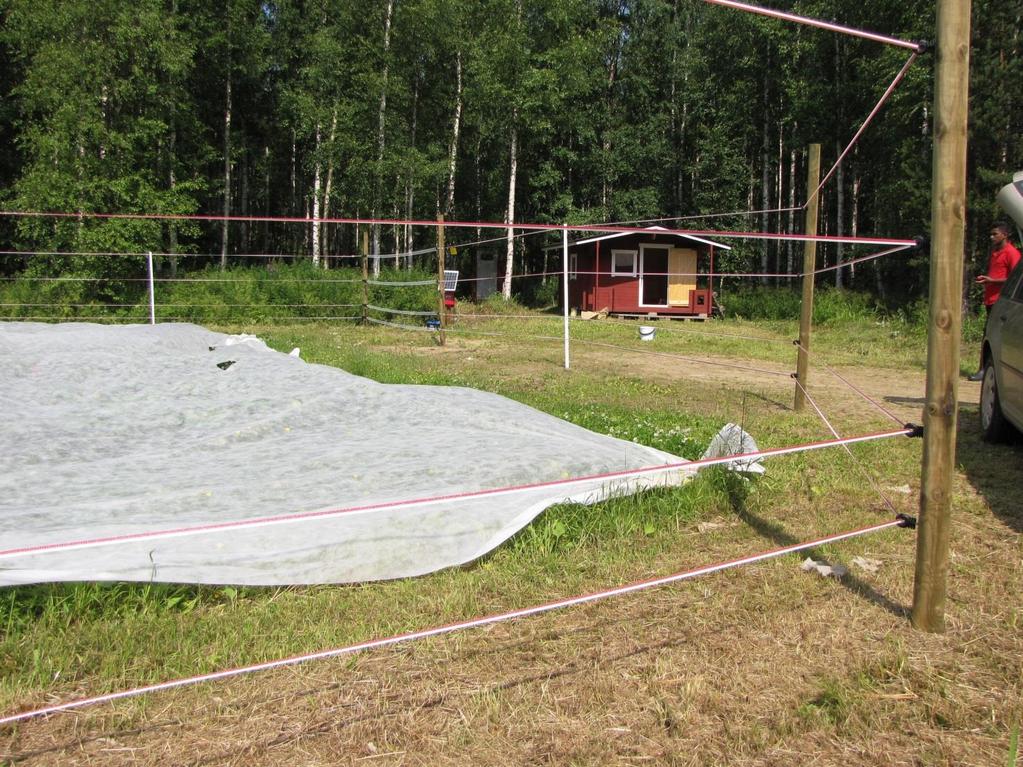 Kulmissa kannattaa käyttää painekyllästettyjä tai metallisia aitapylväitä, jolloin