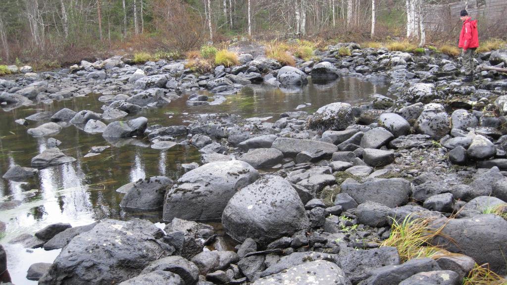 Ympäristövirtaamien toteutus Pohjois-Pohjanmaalla -kohteet ja eri etenemistavat- Kimmo