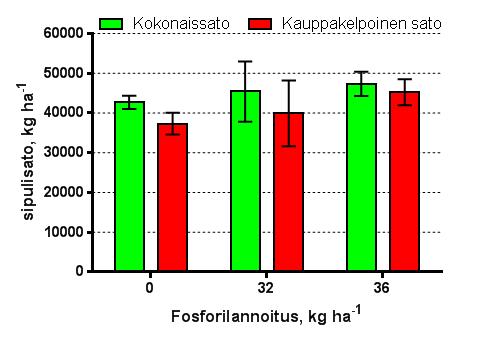 Vihanneskokeet Suomessa Sipulikoe tilakokeena 2018 (Vikera-hanke) Multamaa, viljavuusluokka välttävä, P-luku 5,9 mg l -1 Fosforilannos rakeisena