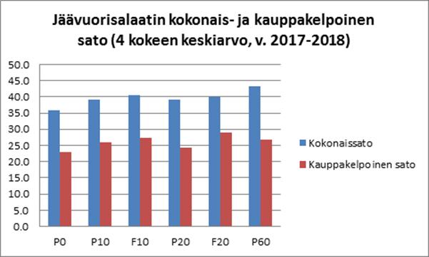 Vihanneskokeet Suomessa Salaattikokeet