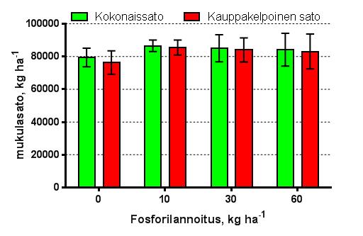 Vihanneskokeet Suomessa Lanttukoe Piikkiössä 2018 (Vikera-hanke)