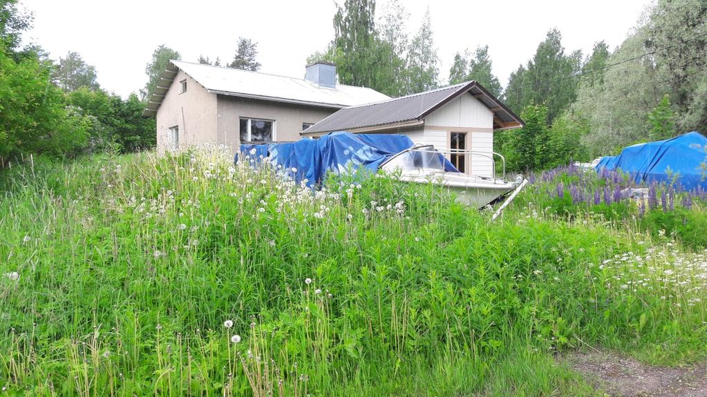 Kuva 4. Tontti Kuusenkorvankadulta nähden. (26.6.2017/ Else Luotinen) 3.3 Liikenne Kuva 5.