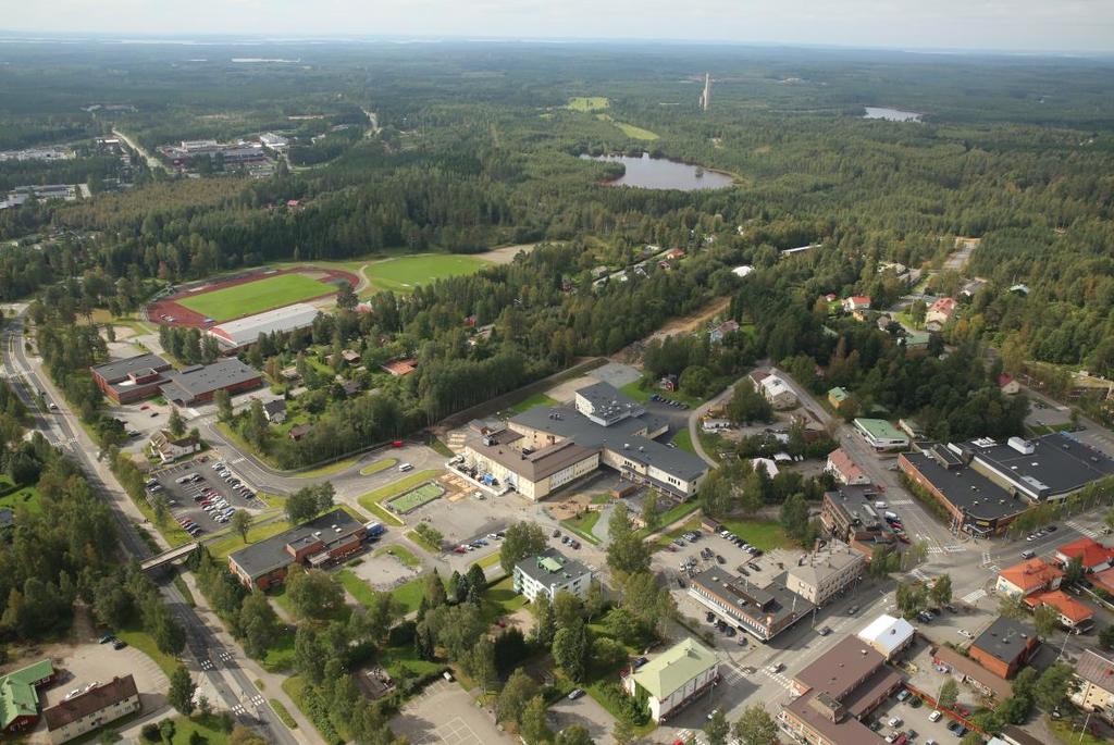 (Tommi Vasankari, Päivi Kolu (toim.