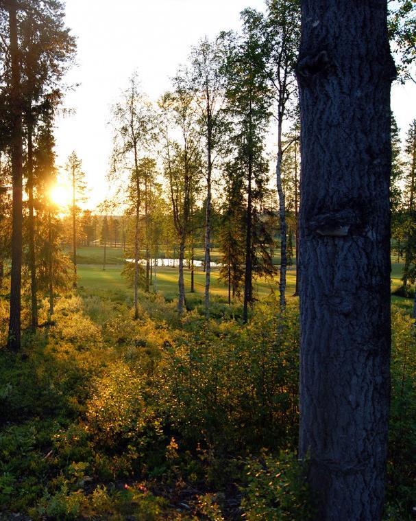 Riskirouva tai -herra Huonosti ja vähän