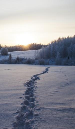 Luun mineraalitiheys Luun määrä, luukato ja murtumariski Normaali luun huippumäärä