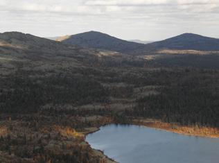 Iltahämärässä Marjon tultua saunasta, hän oli havainnut suopöllön liihottelevan pihapiirissä. Liekö luullut Marjoa myyräksi?