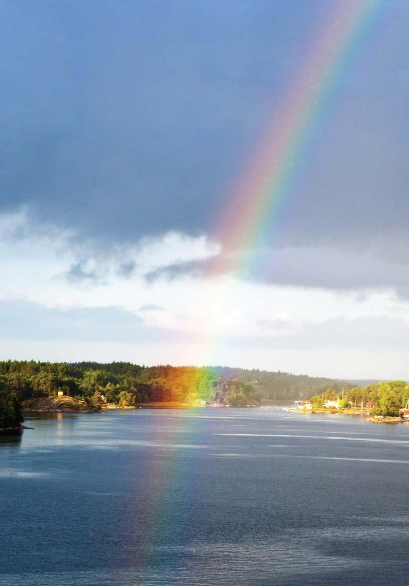 Suomen Nivelyhdistys ry PL 1328, 00101 Helsinki Puhelin: (09)