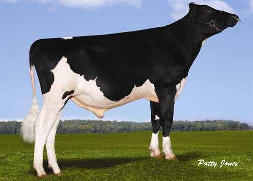 Brewin *RC MISTY SPRINGS BREWIN RC 0200HO02862 SMOKIN x MR BURNS *RC x SEPTEMBER STORM *RC MISTY SPRINGS SMOKIN MISTY SPRINGS MB BRIGHTER RED VG-87-3YR-CAN 3* DUDOC MR BURNS *RC MISTY SPRINGS SEPT
