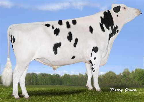 Bombero RICHMOND-FD EL BOMBERO 0200HO03950 NUMERO UNO x SUPER x BAXTER AMIGHETTI NUMERO UNO RICHMOND-FD S BARBARA VG-87-2YR-USA CHARLESDALE SUPERSTITION RICHMOND-FD BARBIE