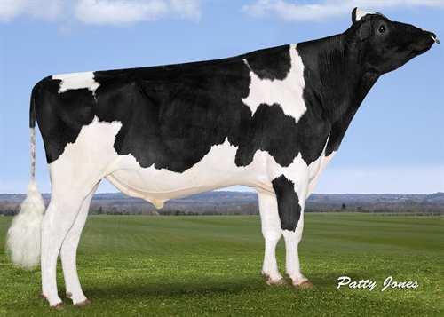 Saloon SANDY-VALLEY SALOON 0200HO02792 IOTA x PLANET x BOLTON REGANCREST IOTA SANDY-VALLEY PLANE SAPPHIRE VG-87-2YR-USA 1* ENSENADA TABOO PLANET SANDY-VALLEY BOLT SHEILA