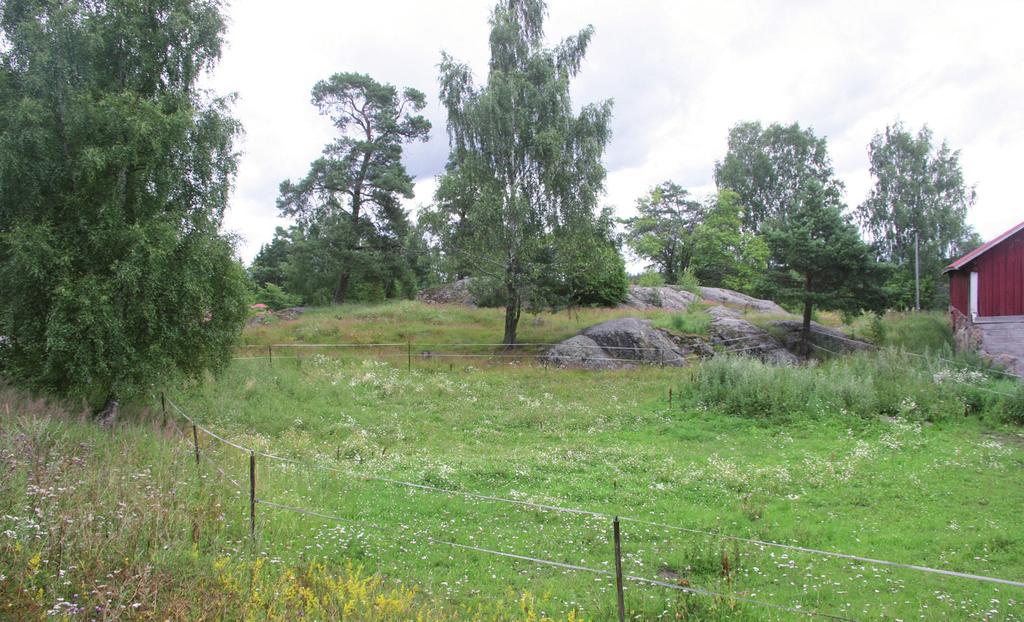 Suomen Luontotieto Oy Lohko 1 Kapea haapaa (Populus tremula) kasvava kulttuurilehtoreunus, joka rajautuu länsipuolelta tiehen ja itäosiltaan peltoon.