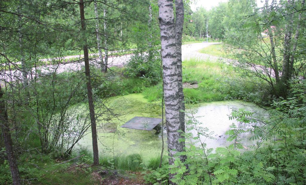 Suomen Luontotieto Oy Lohko 9 Lohkon alue käsittää Tammiston tilan pihapiirin ja sen lähiympäristön.. Alueella on hyvin vaihtelevaa ympäristöä.