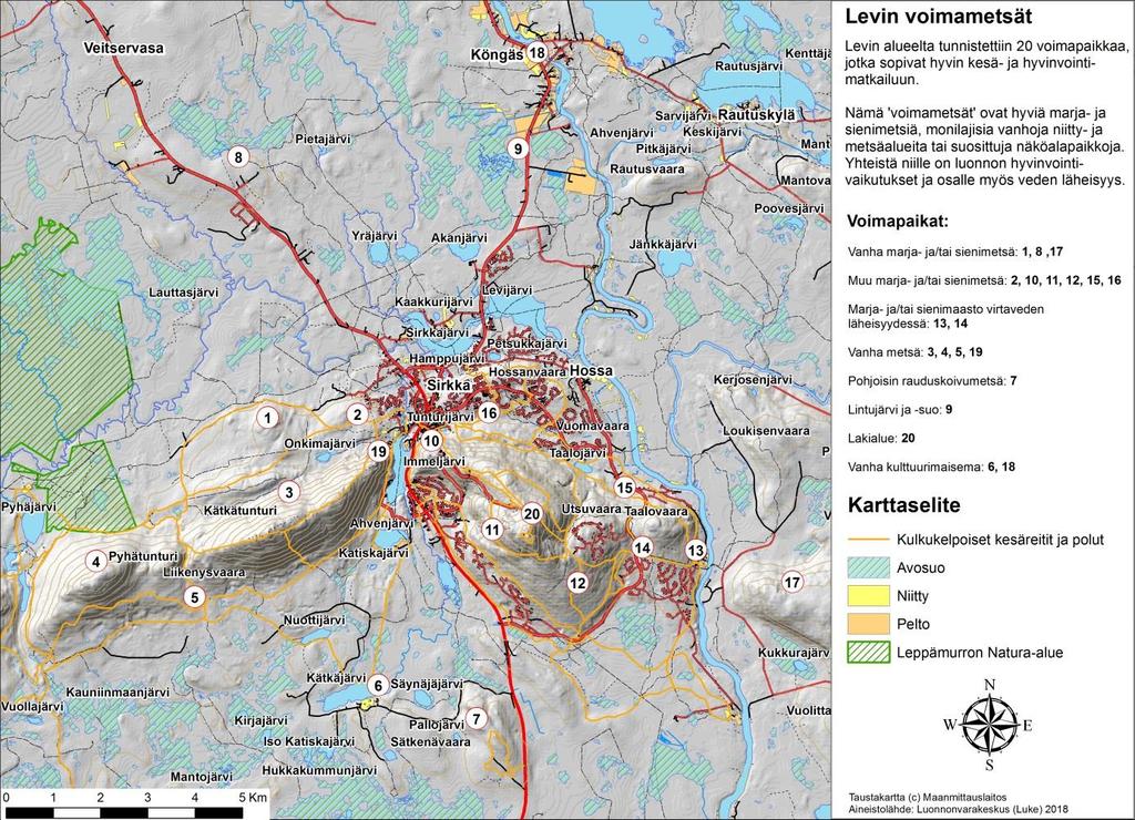 Levin voimametsien verkosto muodostuu kuudestatoista erityyppisestä alueesta, joiden hyödyntämistä kesä- ja hyvinvointimatkailussa suositellaan. Uhanalaisten lajien (Rassi ym.