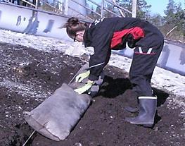 Myöhemmin suodattimet voidaan maisemoida istuttamalla niihin kasveja, jotka käyttävät filttereiden sitomia ravinteita.