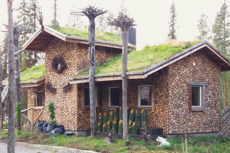 Biohiilen tiedetään parantavan kasvualustan vedenpidätyskykyä, jolloin kasvit selviävät